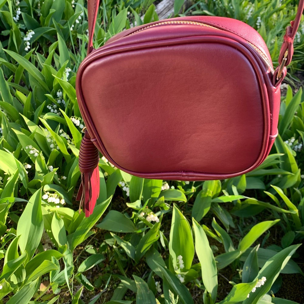 XII | Mini Crossbody - Picture 6 of 13